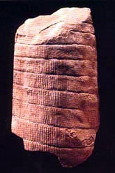calamite